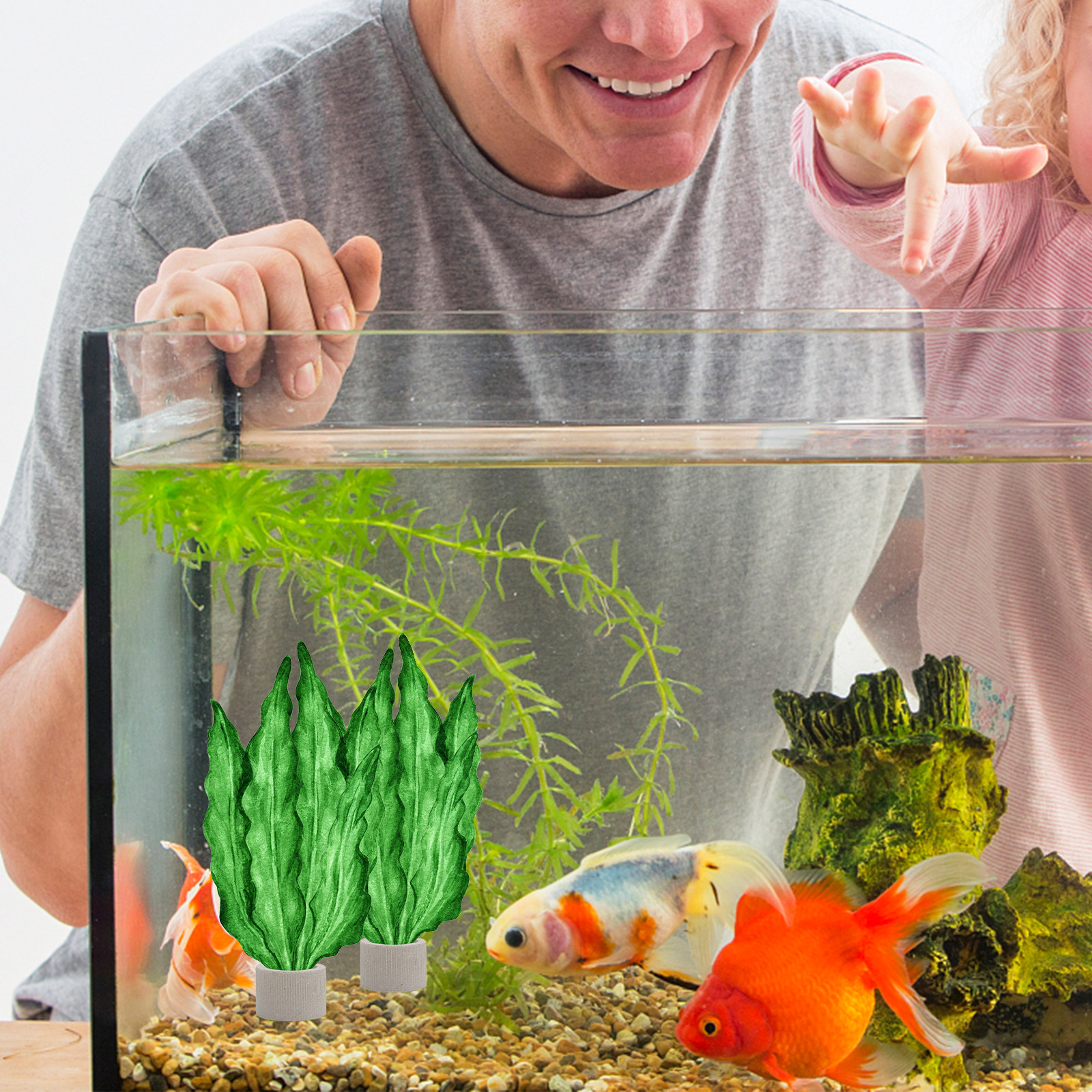 Aquarium For Planted Tank - 5Pcs Premium Pottery Water Plant Fixed