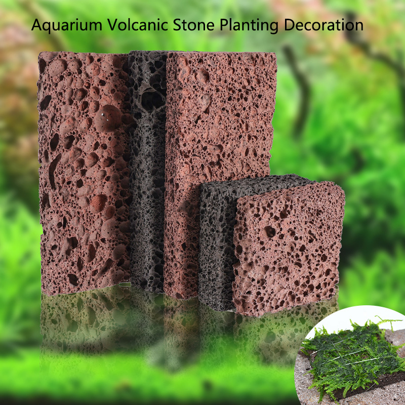 Aquarium Plant Live - Volcanic Aquarium Decoration Fish Tank Plant