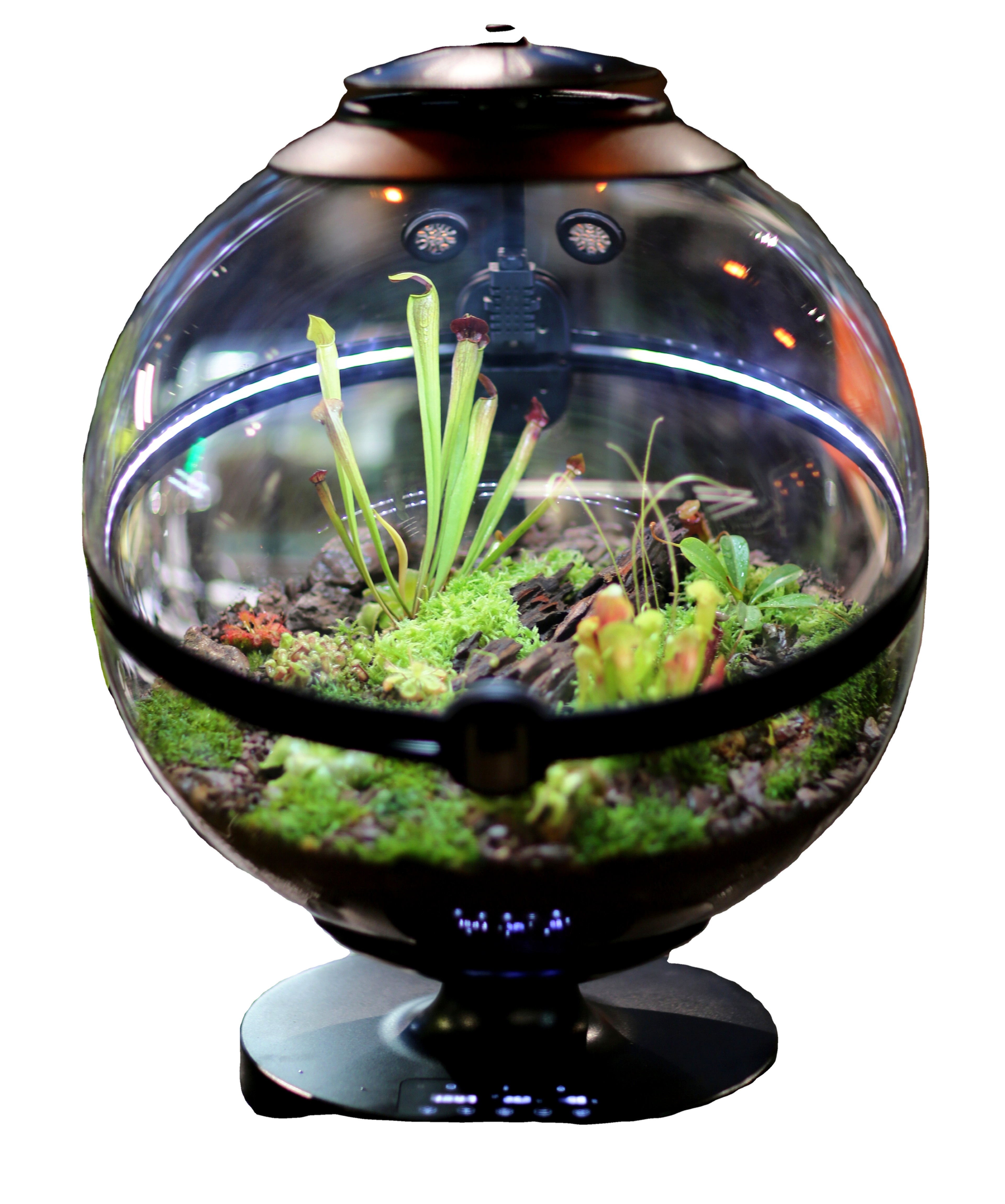 Aquarium Plants For Sale - Hot Sales Acrylic Material Ball Plant