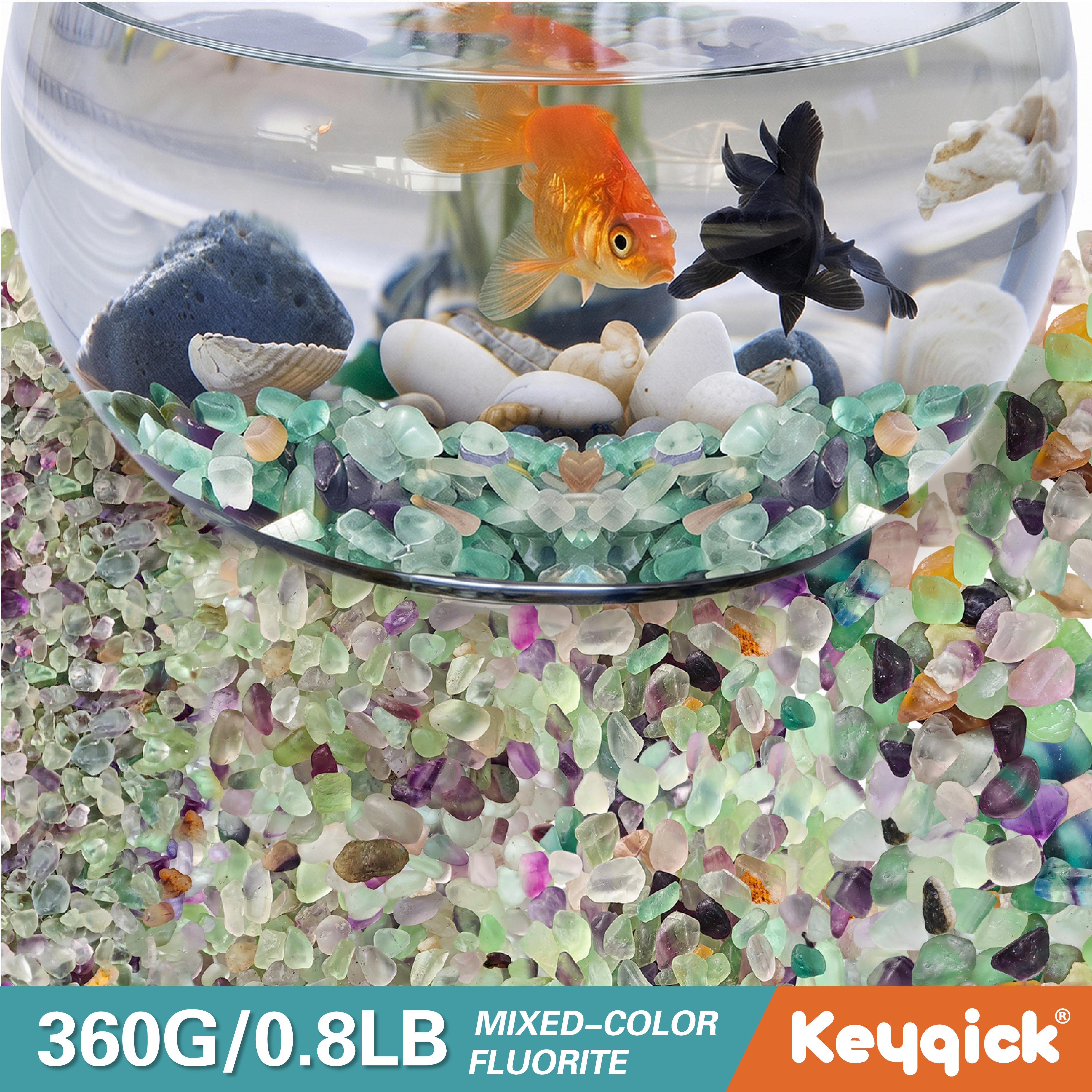 Aquarium Plant In Pot - 360g Natural Fluorite Fragments Crystal Succulent
