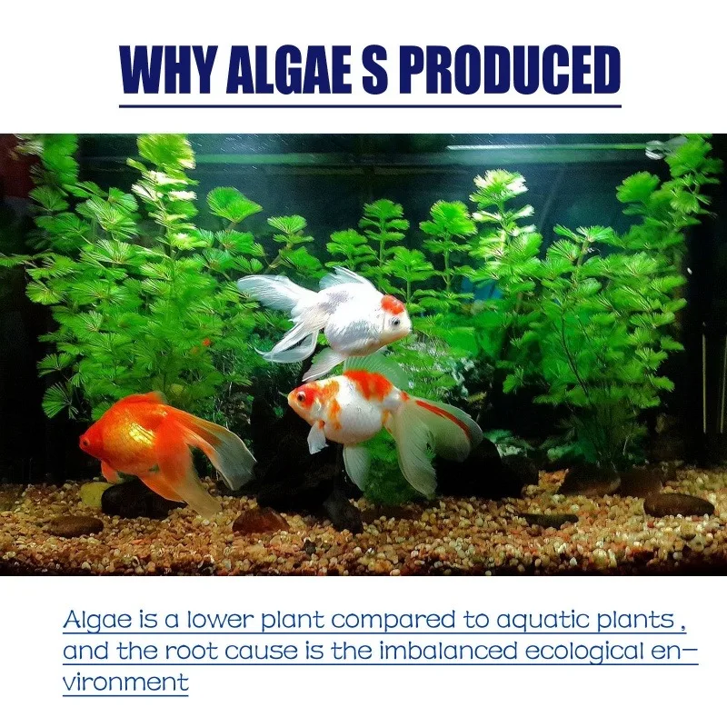 50g High Efficiency Algaecide  – Planted Aquarium Algae recenzja i cena