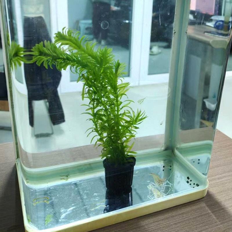 4Pcs Pet Fish Tank Landscaping – Aquarium For Planted Tank recenzja i cena