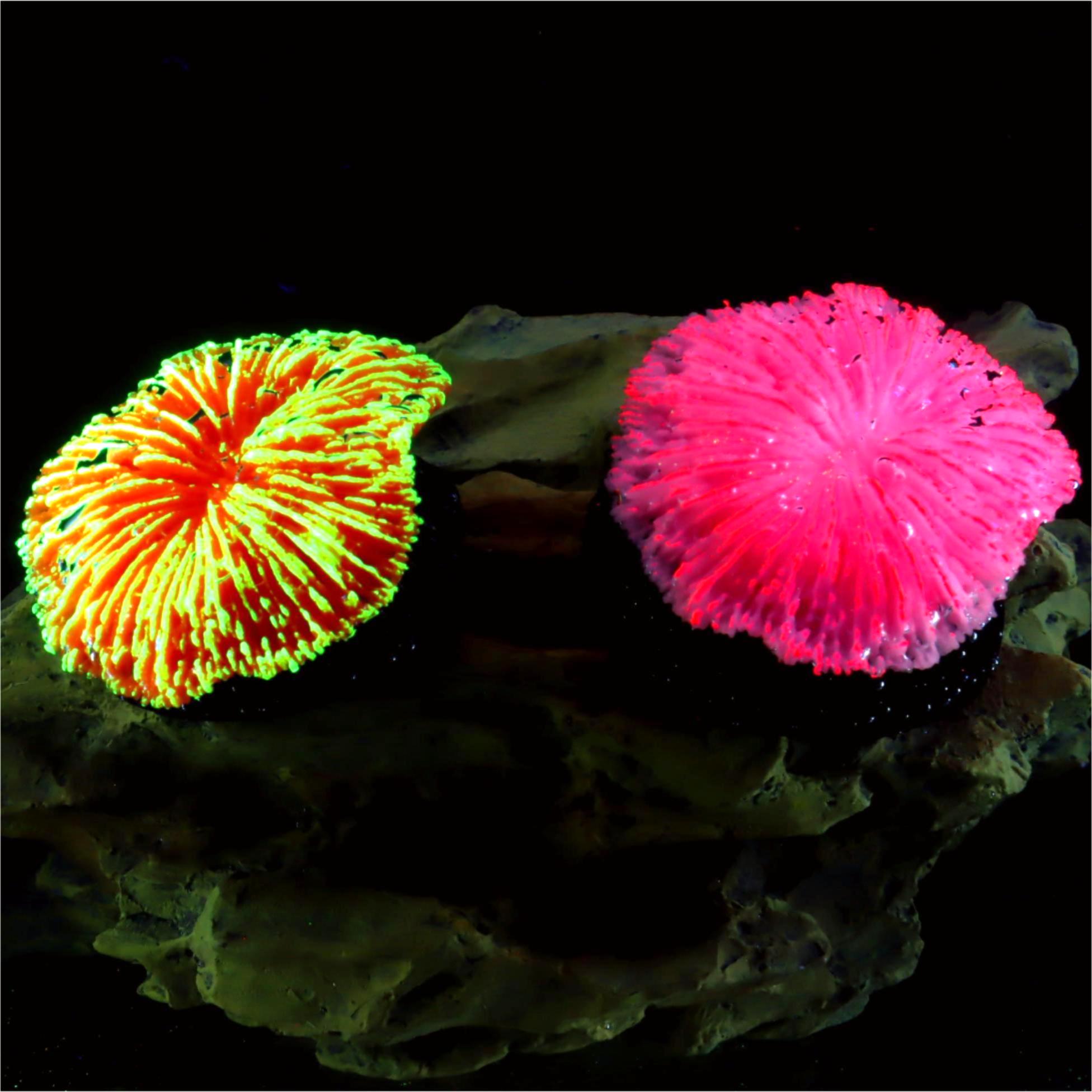 1 piece aquarium decoration sa – Aquarium Plant Live recenzja i cena