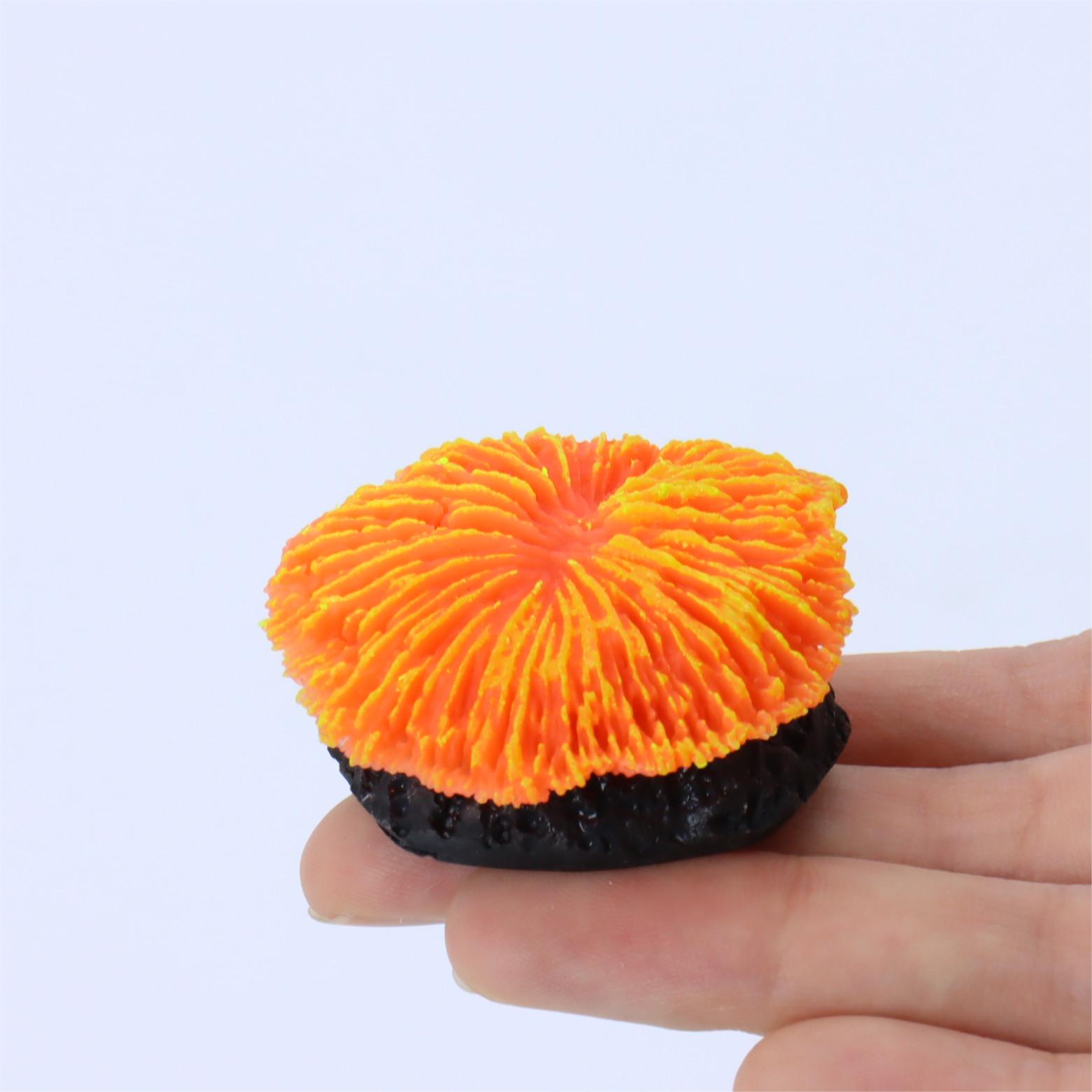 1 piece aquarium decoration sa – Aquarium Plant Live recenzja i cena