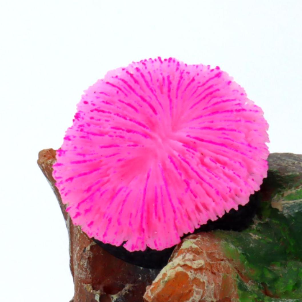 1 piece aquarium decoration sa – Aquarium Plant Live recenzja i cena
