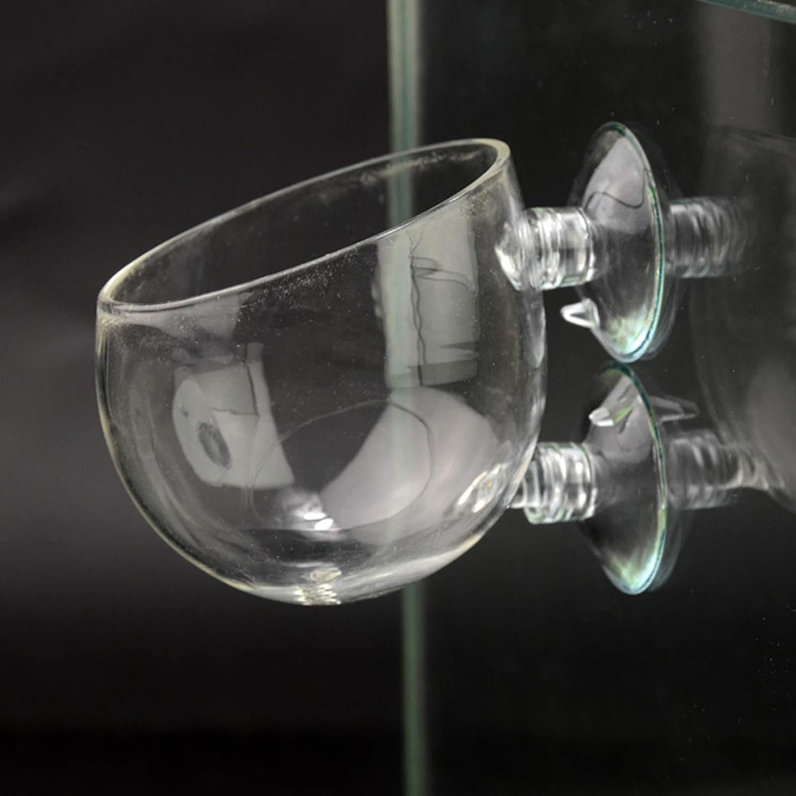 Aquarium Plant Holder Glass Aq – Aquarium Plant Live recenzja i cena