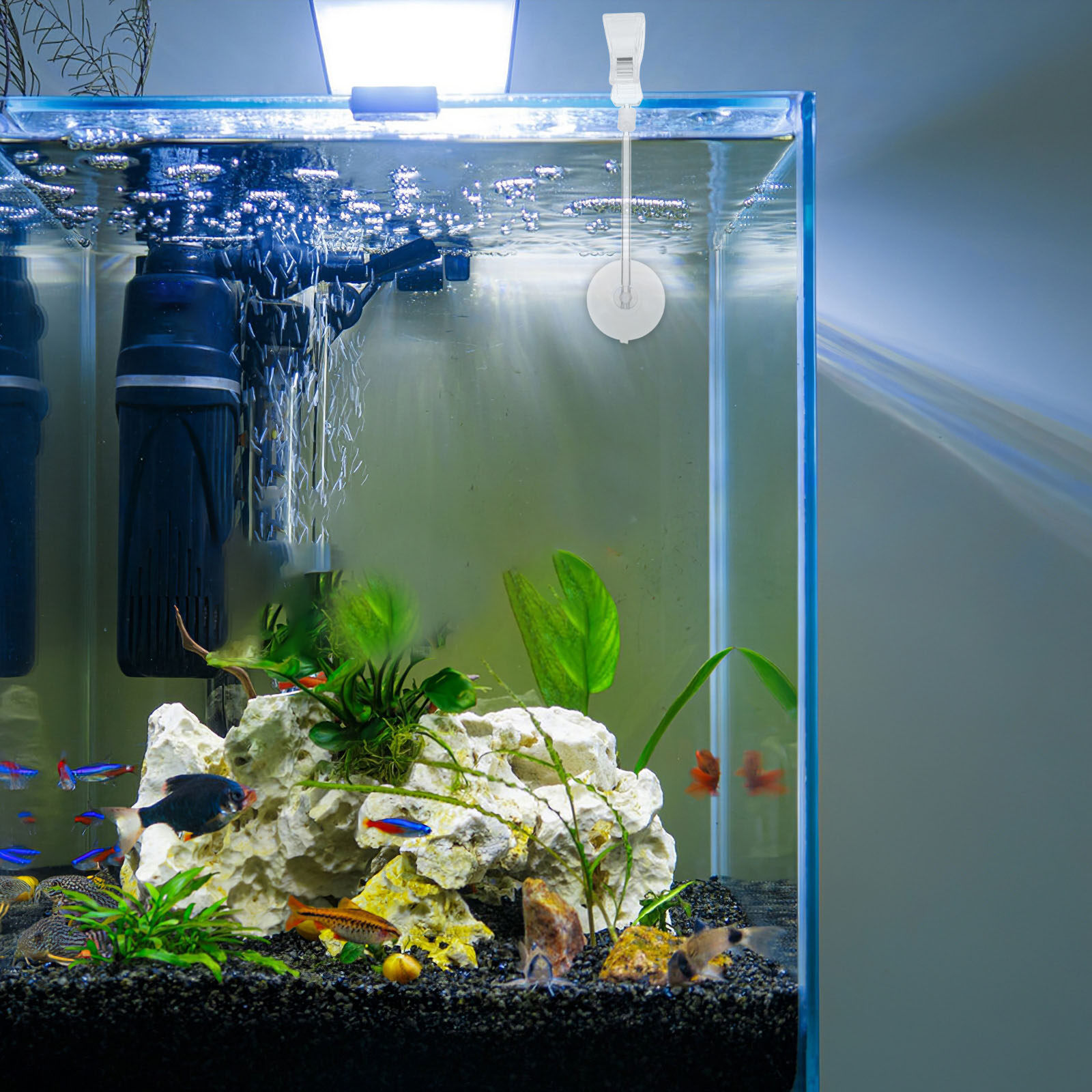 3Pcs Aquarium Suction Cup Clip – Aquarium Planted Setup recenzja i cena