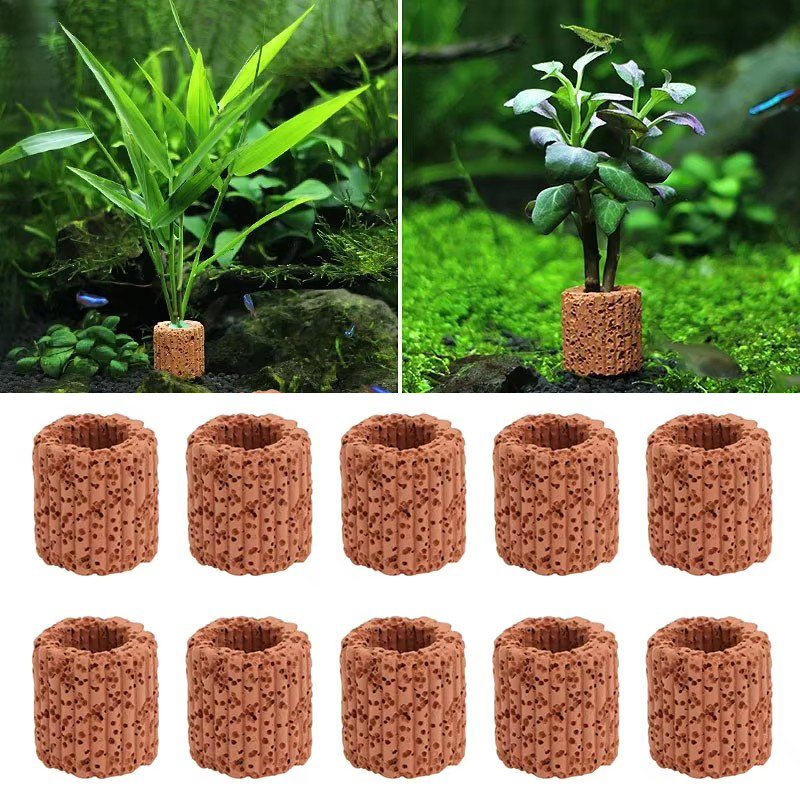 Aquatic Plant Fixed Ring for A – Aquarium Plant Live recenzja i cena