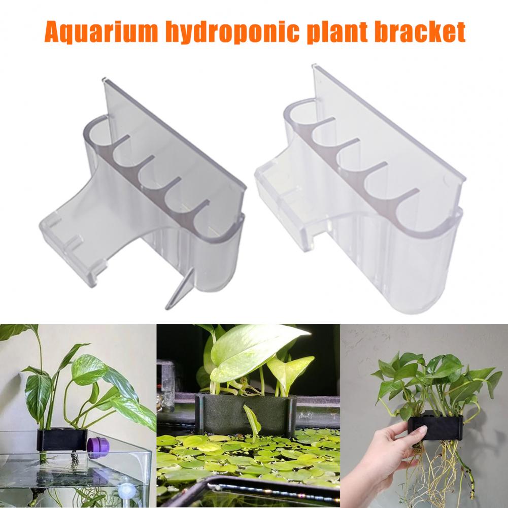 4.5/6.5cm Aquarium Plant Holde – Aquarium Plant In Pot recenzja i cena