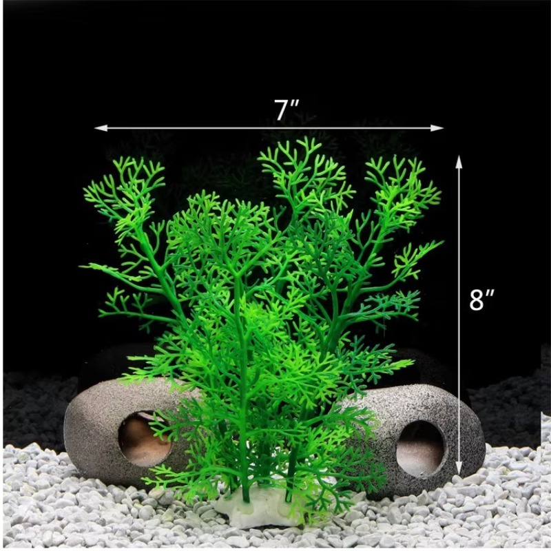 10pcs Hot Selling New Arrival  – Aquarium Plants For Sale recenzja i cena