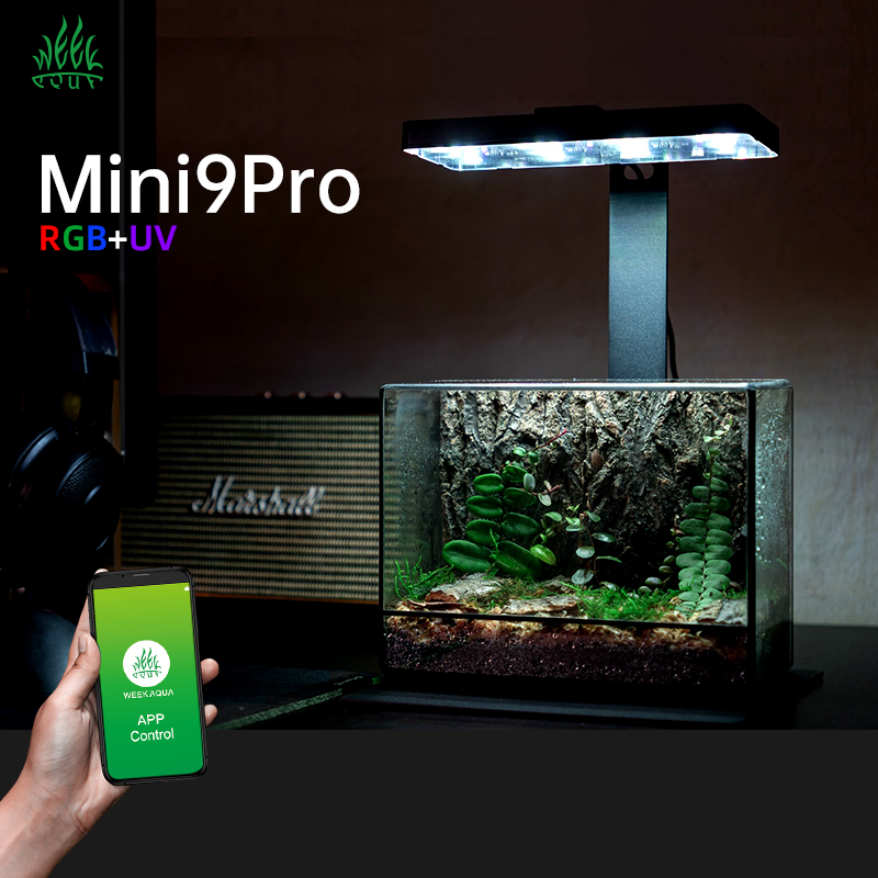 Hot Sale Mini9pro Nano Terrari – Aquarium Plants For Sale recenzja i cena