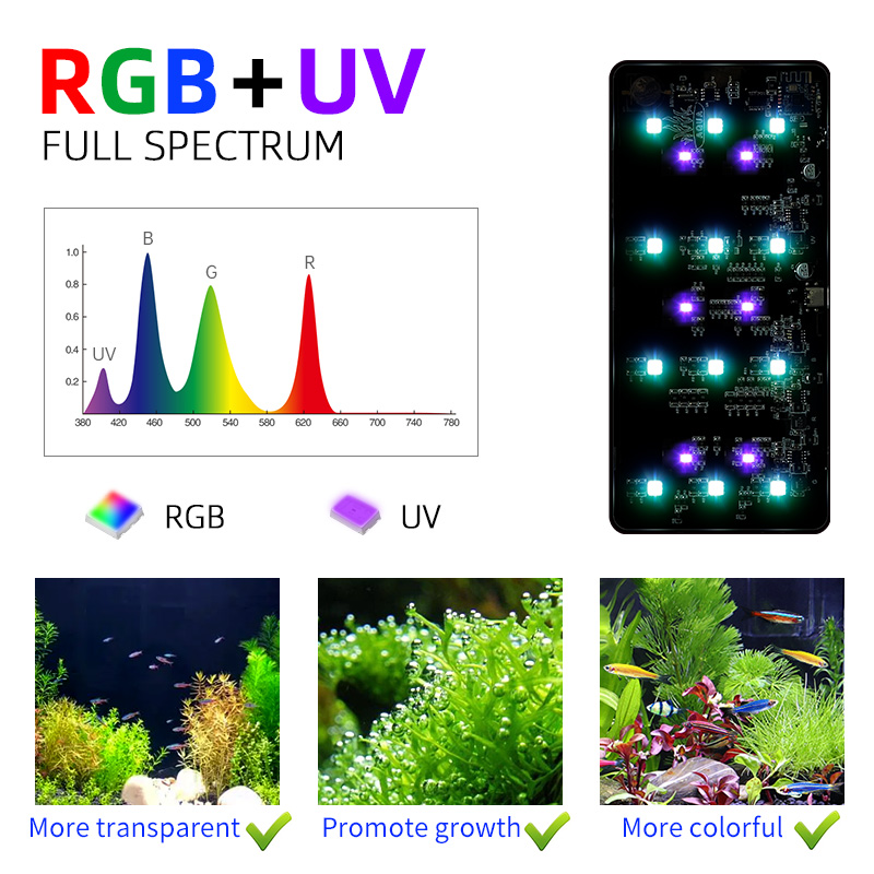 Hot Sale Mini9pro Nano Terrari – Aquarium Plants For Sale recenzja i cena