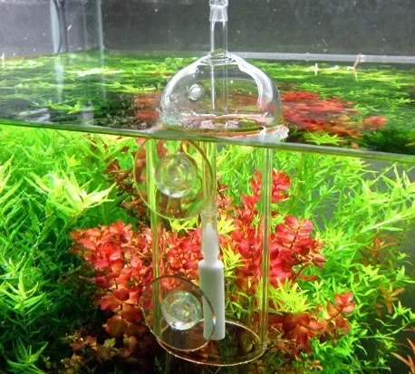VIV Do Device Aquarium Cylinde – Aquarium Plant Delivery recenzja i cena