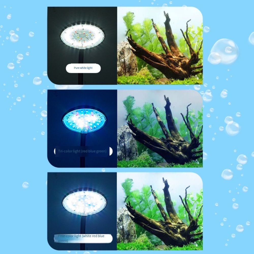 Mini Fish Tank Clip Lamp 360-D – Aquarium Plant Live recenzja i cena