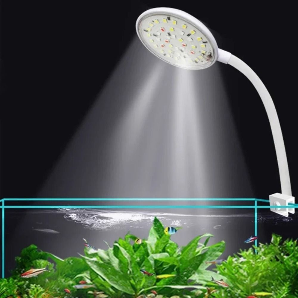 Mini Fish Tank Clip Lamp 360-D – Aquarium Plant Live recenzja i cena