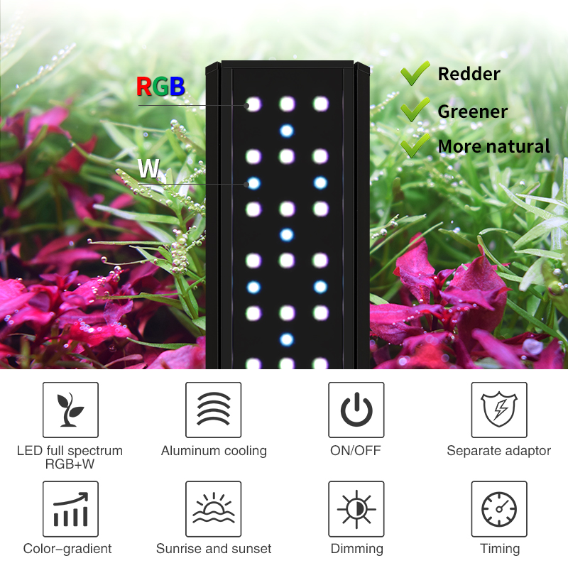 ZXY Hot Sale WEEKAQUA V400 WRG – Aquarium Plants For Sale recenzja i cena