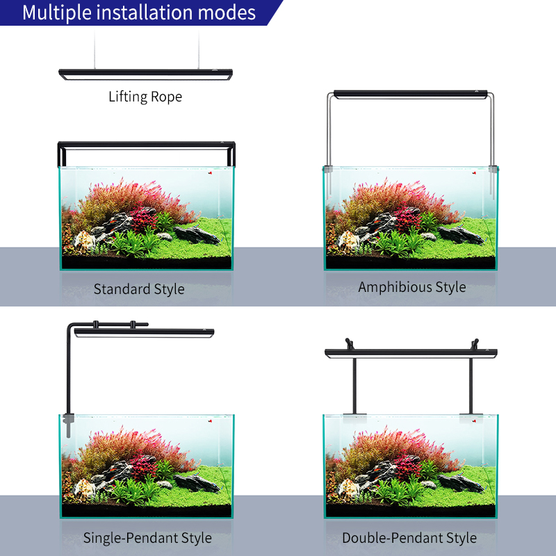 ZXY Hot Sale WEEKAQUA V400 WRG – Aquarium Plants For Sale recenzja i cena