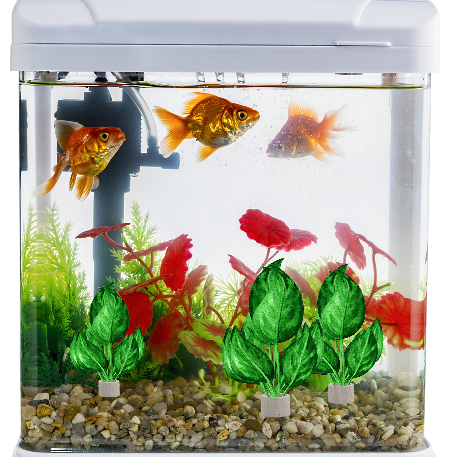 5Pcs Premium Pottery Water Pla – Aquarium For Planted Tank recenzja i cena