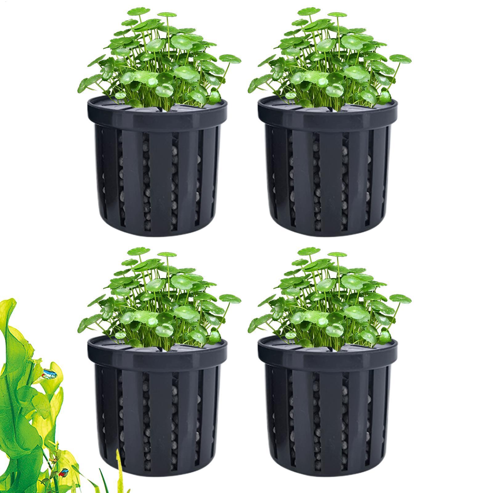 4 Pieces Aquarium Planter Pot  – Aquarium Plant Live recenzja i cena