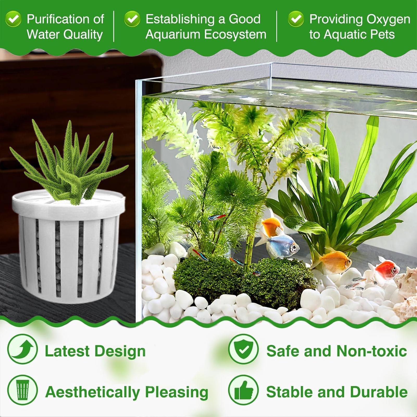 4 Pieces Aquarium Planter Pot  – Aquarium Plant Live recenzja i cena