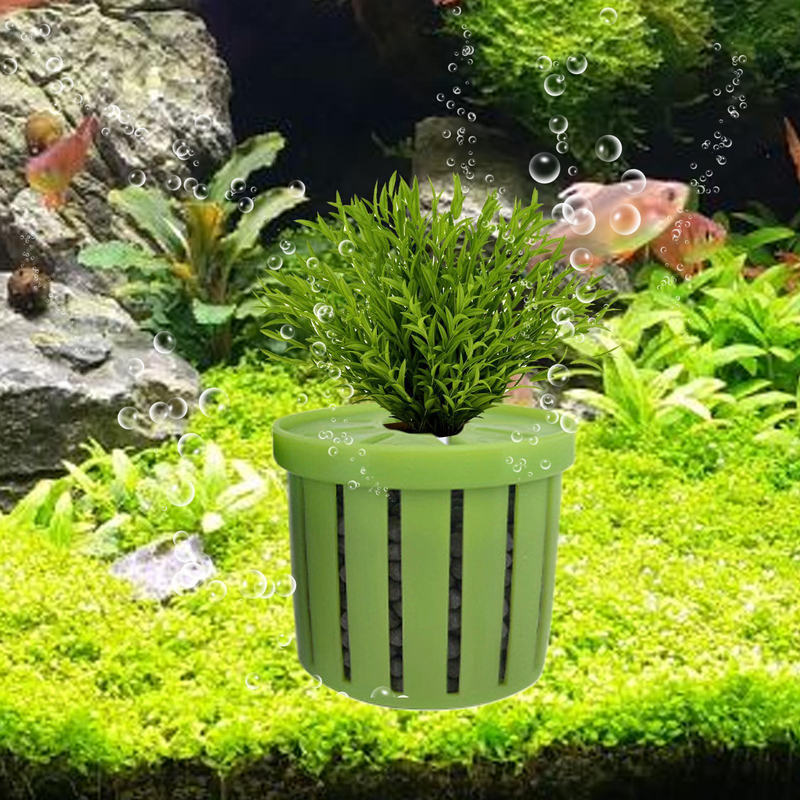 4 Pieces Aquarium Planter Pot  – Aquarium Plant Live recenzja i cena