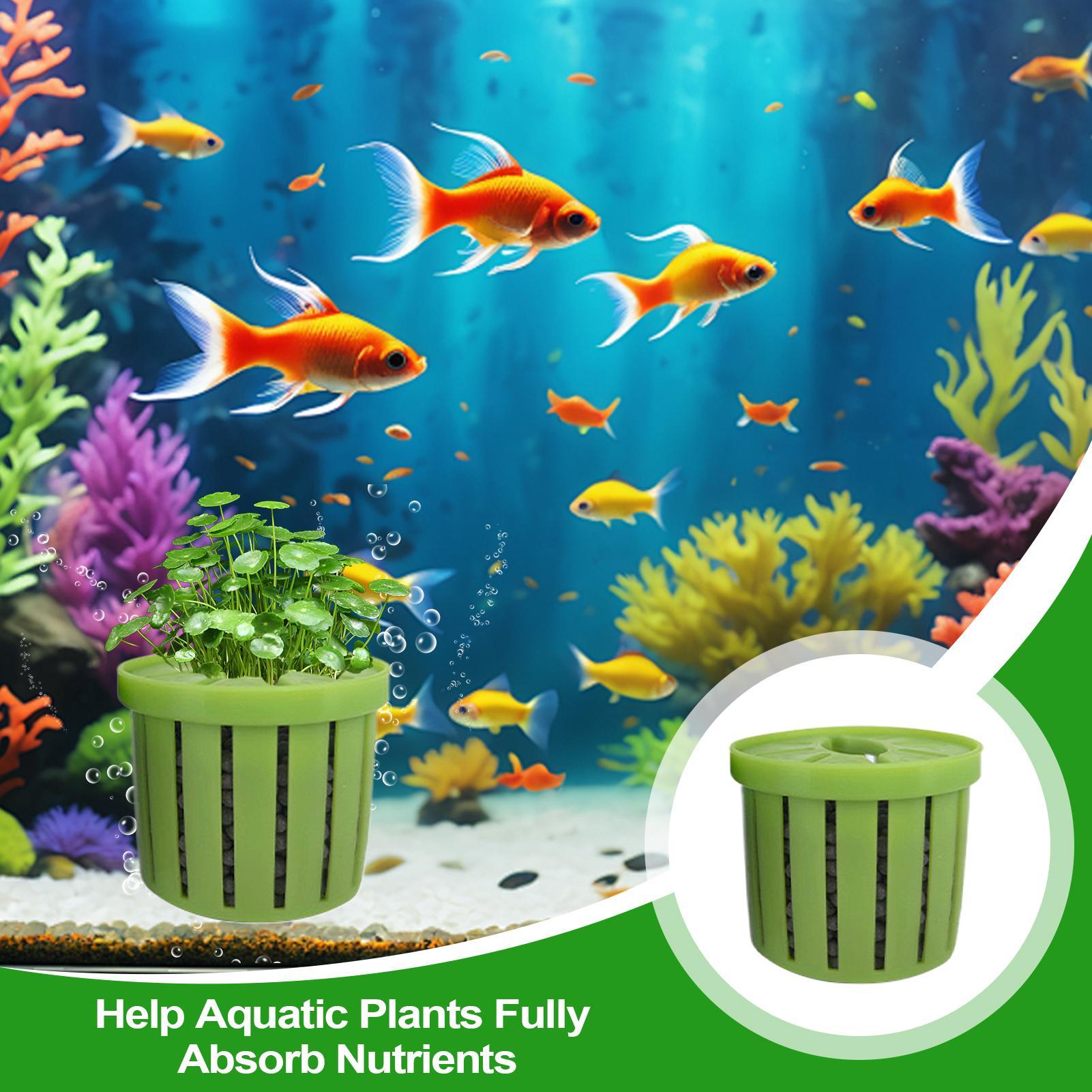 4 Pieces Aquarium Planter Pot  – Aquarium Plant Live recenzja i cena