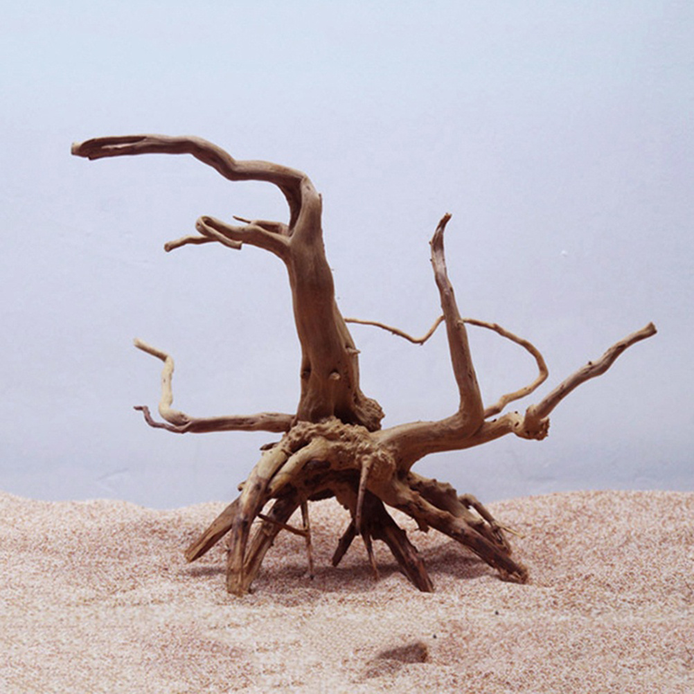 4pc Natural Driftwood Aquarium – Aquarium Plants For Sale recenzja i cena