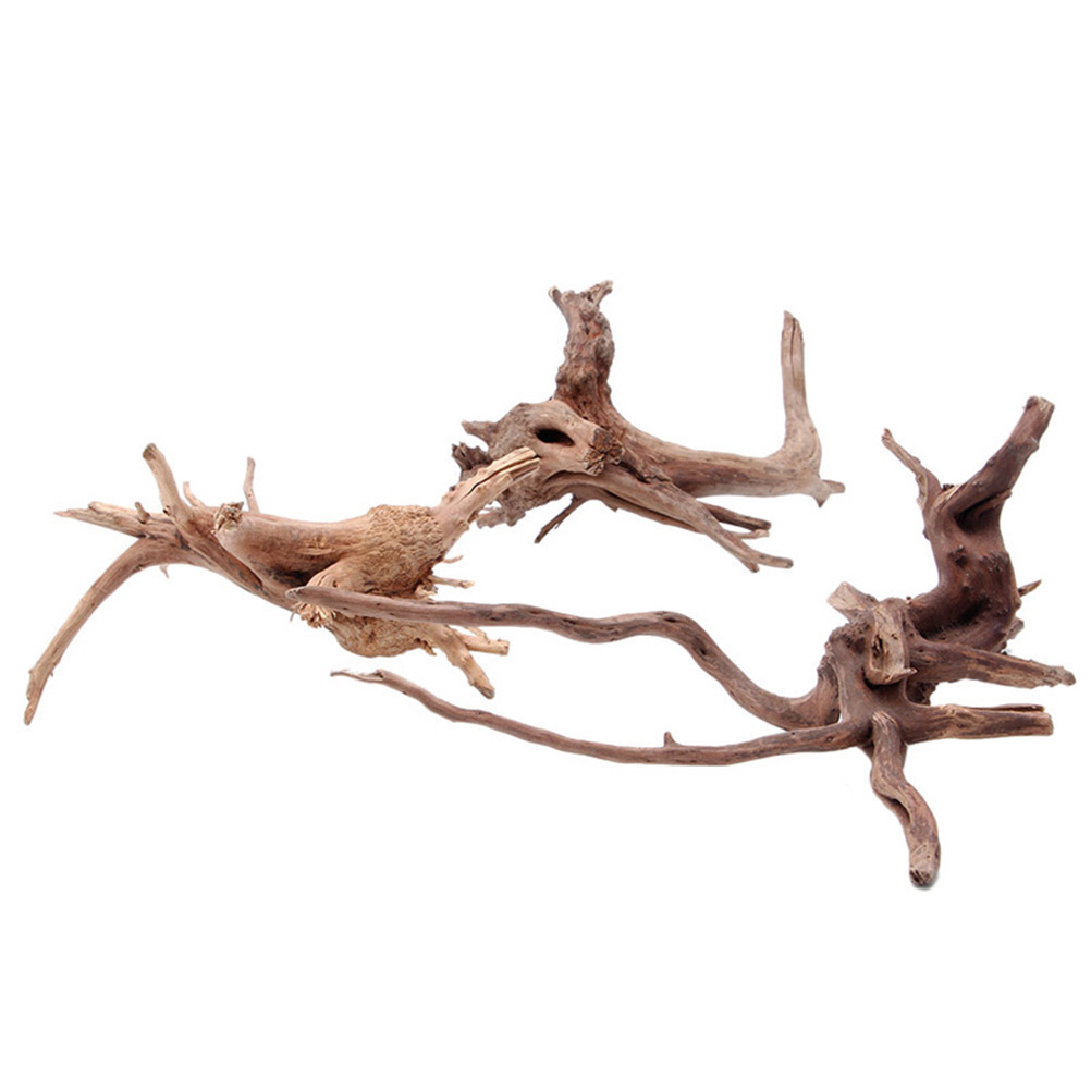4pc Natural Driftwood Aquarium – Aquarium Plants For Sale recenzja i cena