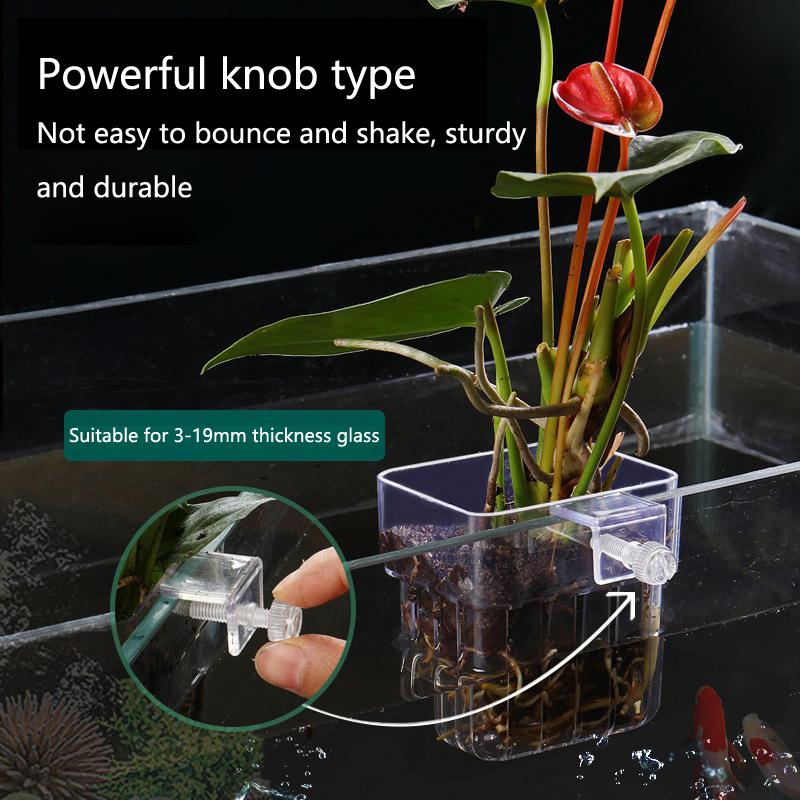 Aquarium Hydroponic Planting C – Aquarium Planted Setup recenzja i cena