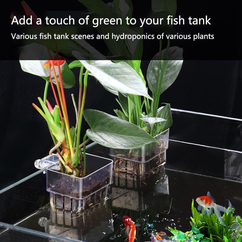 Aquarium Hydroponic Planting C – Aquarium Planted Setup recenzja i cena
