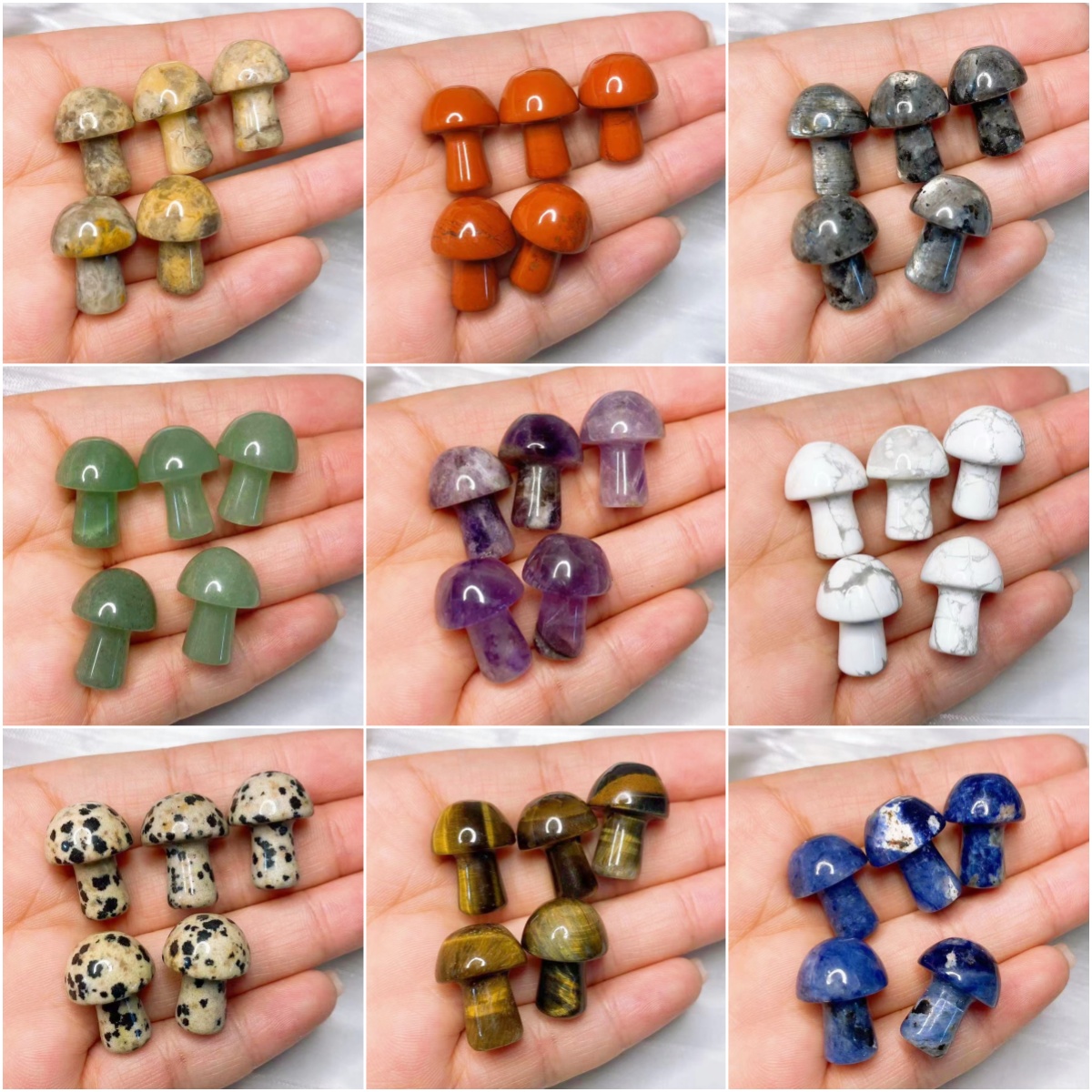 Natural Crystal Mini Mushroom  – Aquarium Plant Delivery recenzja i cena