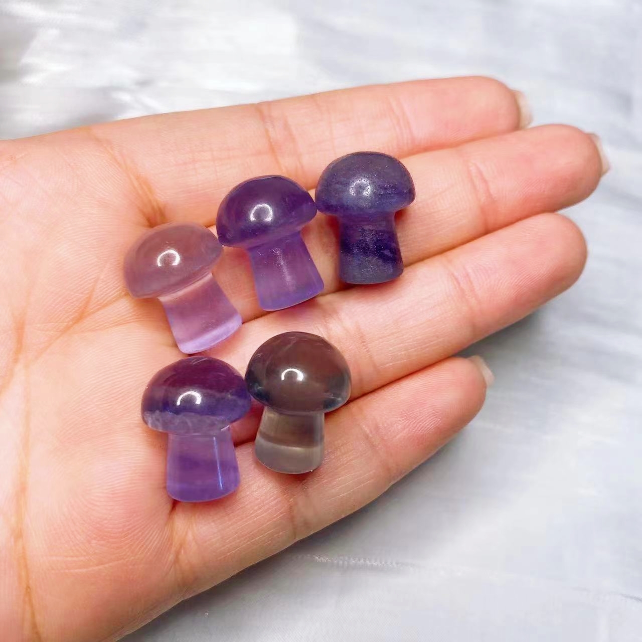 Natural Crystal Mini Mushroom  – Aquarium Plant Delivery recenzja i cena