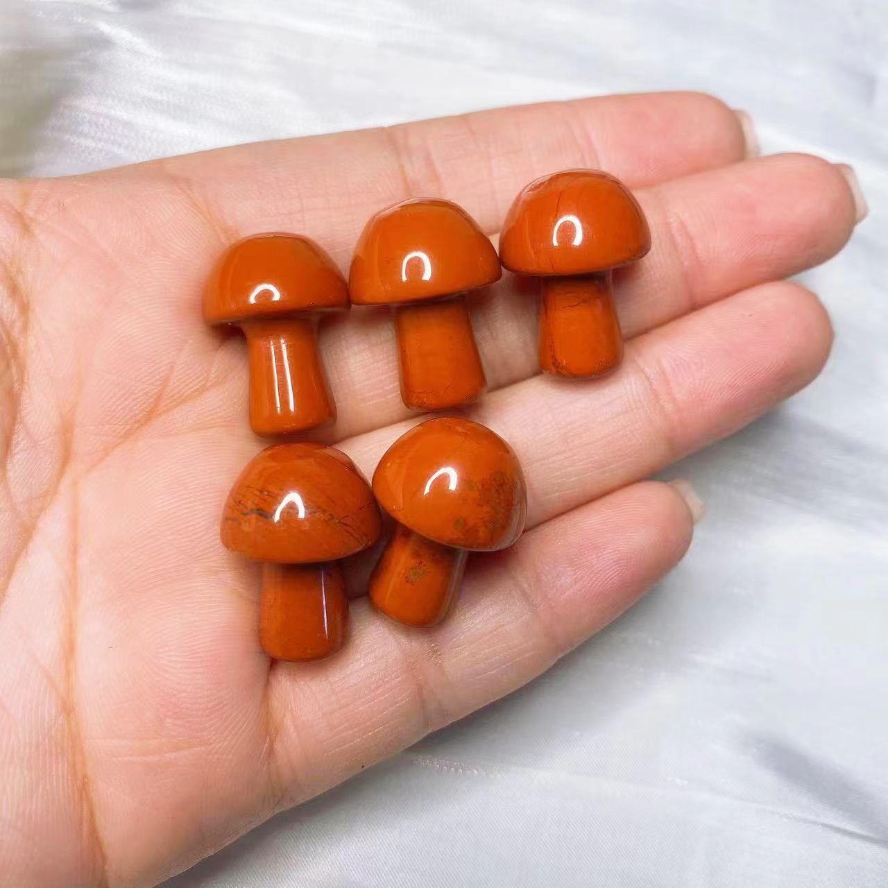 Natural Crystal Mini Mushroom  – Aquarium Plant Delivery recenzja i cena