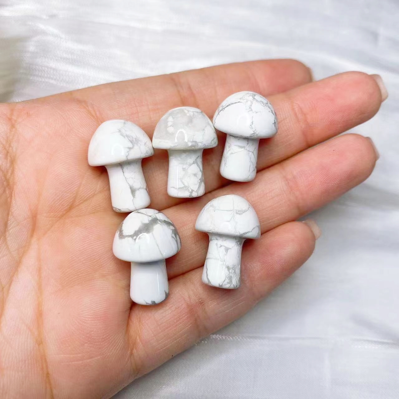 Natural Crystal Mini Mushroom  – Aquarium Plant Delivery recenzja i cena