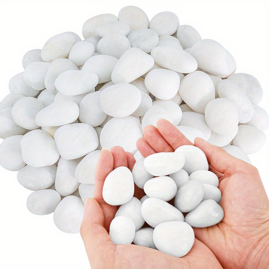200/400g White High Polished N – Aquarium Plant In Pot recenzja i cena