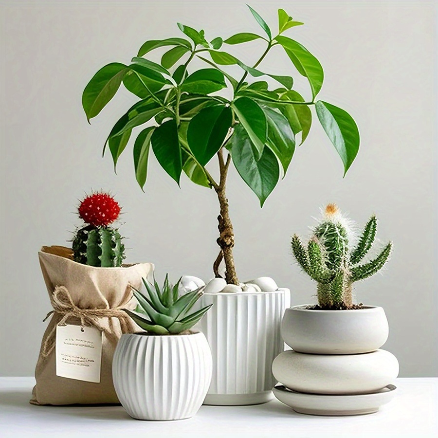 200/400g White High Polished N – Aquarium Plant In Pot recenzja i cena