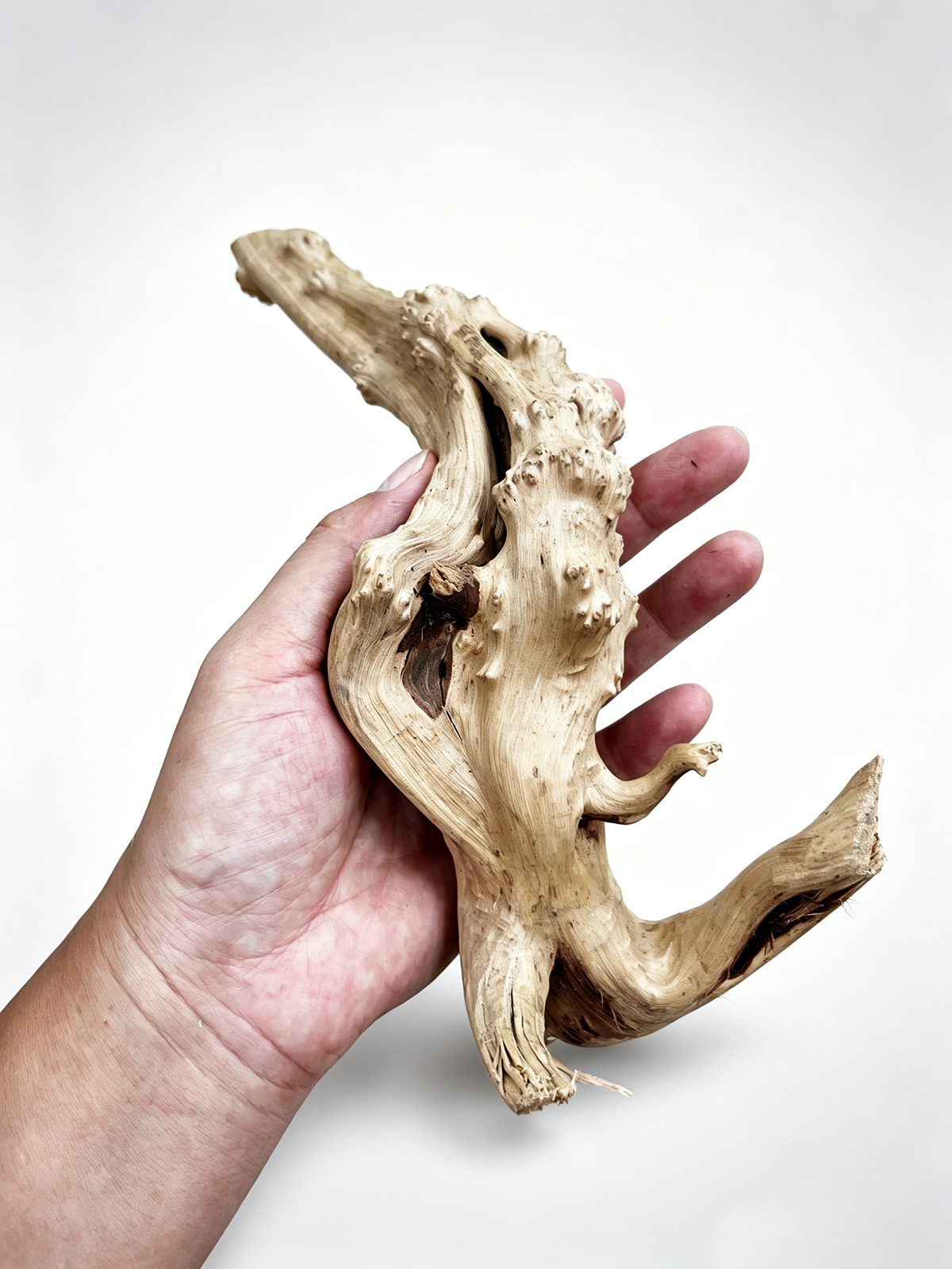 7-26CM 4 Sizes Driftwood Cucko – Planted Aquarium Media recenzja i cena
