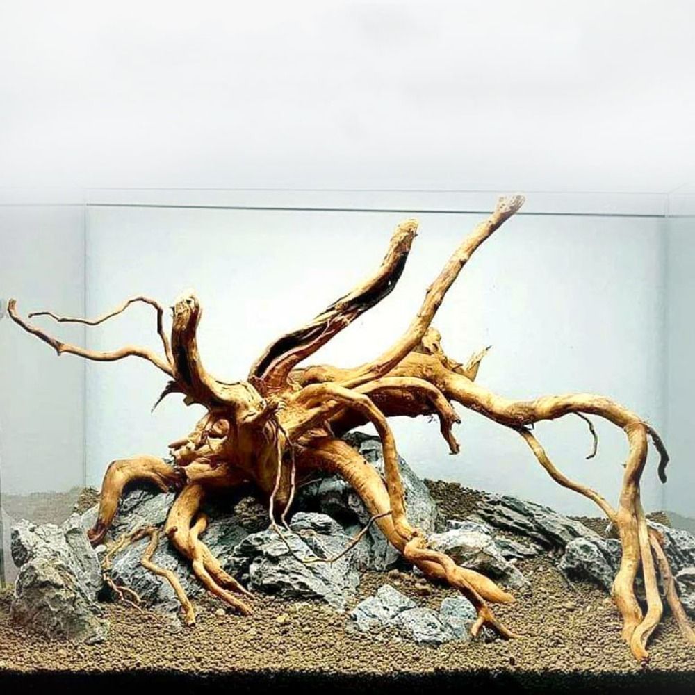 Natural Tree Trunk Aquarium De – Planted Aquarium Media recenzja i cena
