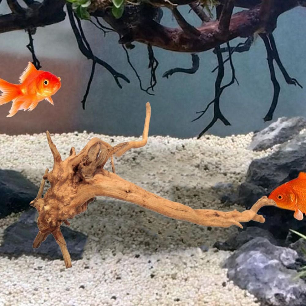 Natural Tree Trunk Aquarium De – Planted Aquarium Media recenzja i cena