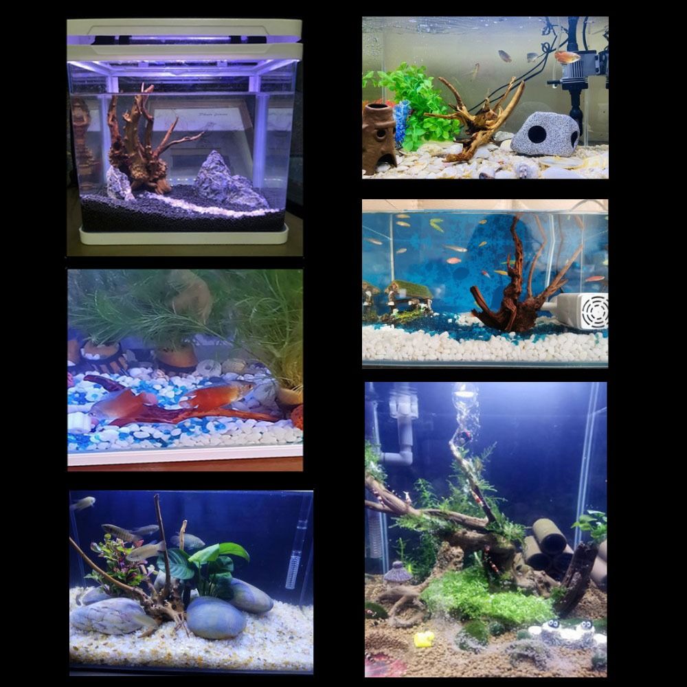 Natural Tree Trunk Aquarium De – Planted Aquarium Media recenzja i cena