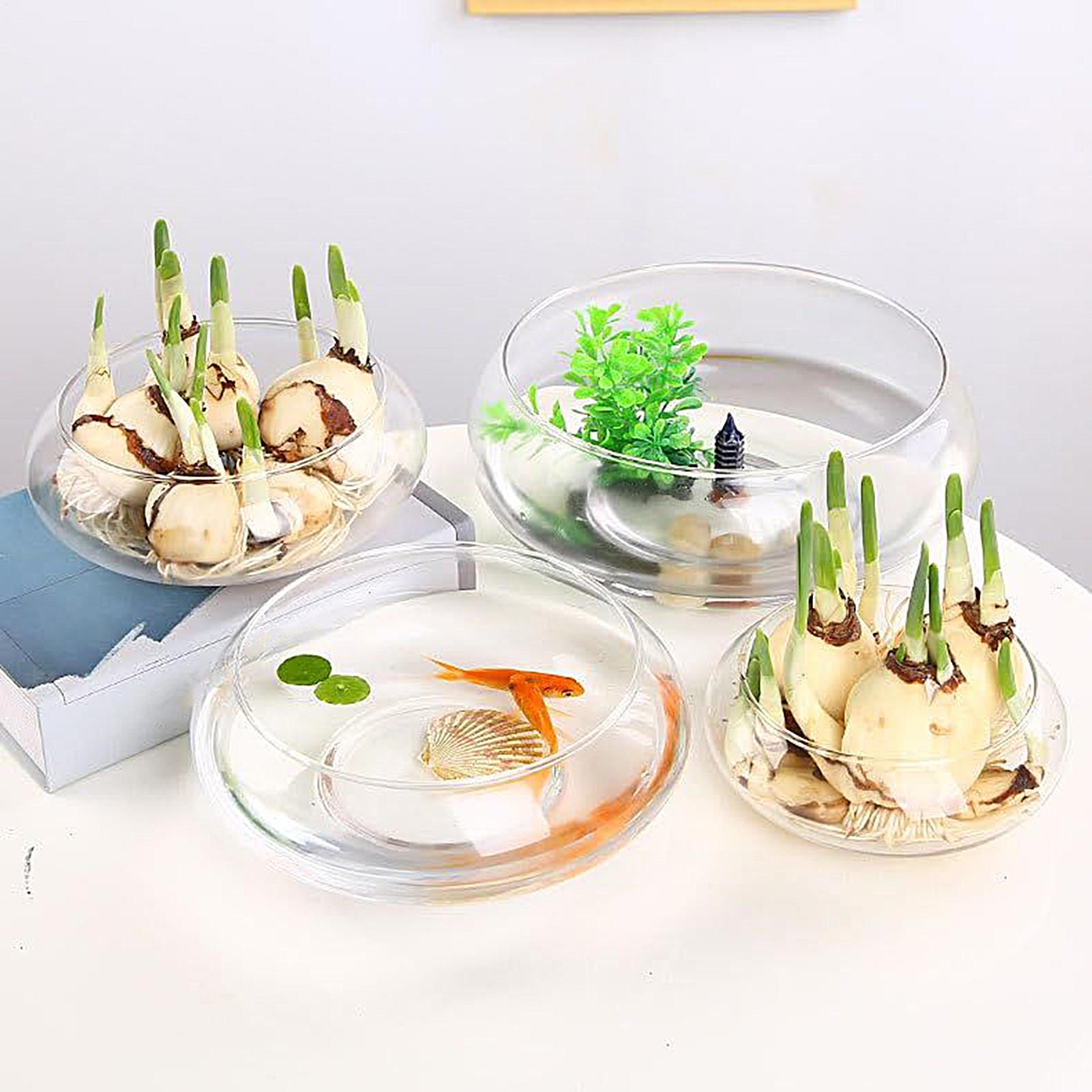 Fish Glass Bowl Glass Large Hy – Aquarium Plant In Pot recenzja i cena