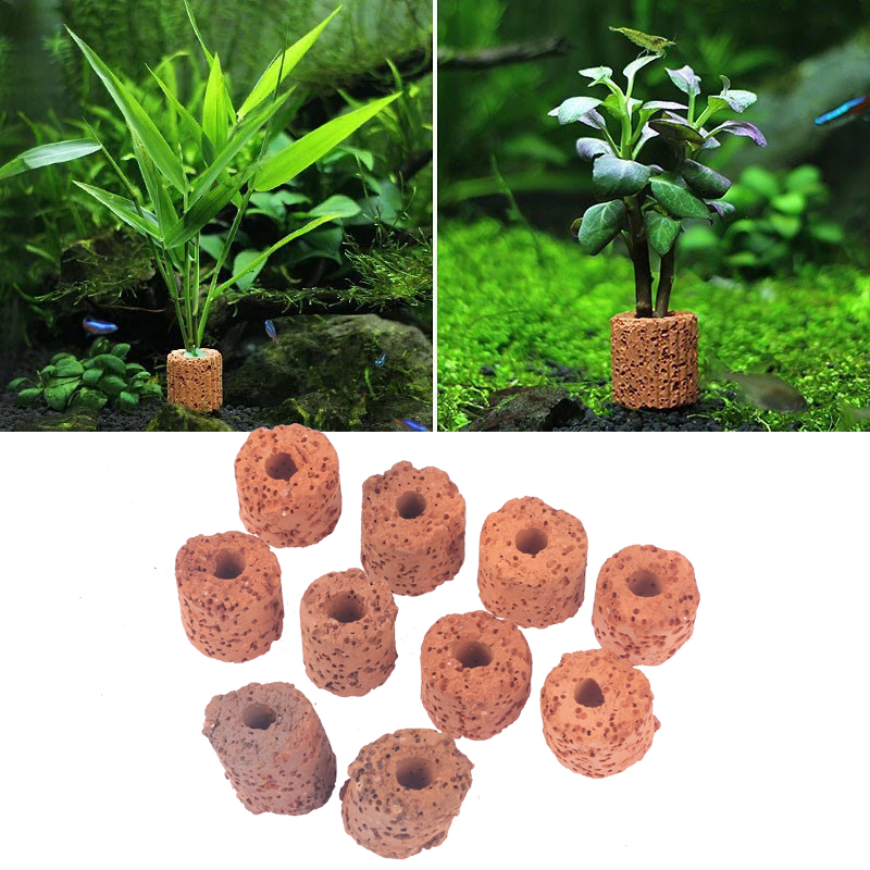 10Pcs Mini Aquatic Plant Ring  – Aquarium Planted Setup recenzja i cena