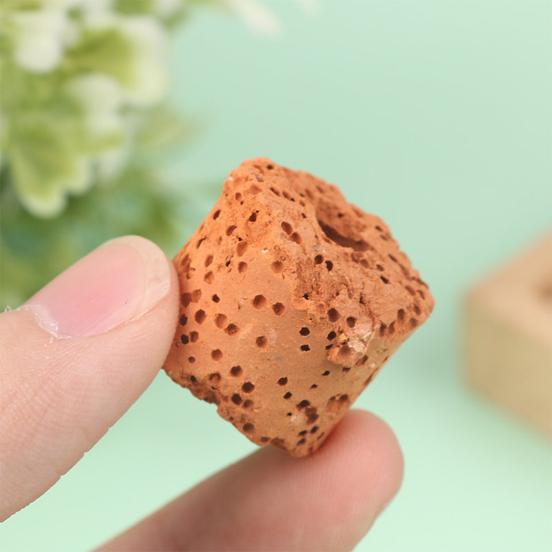 10Pcs Mini Aquatic Plant Ring  – Aquarium Planted Setup recenzja i cena