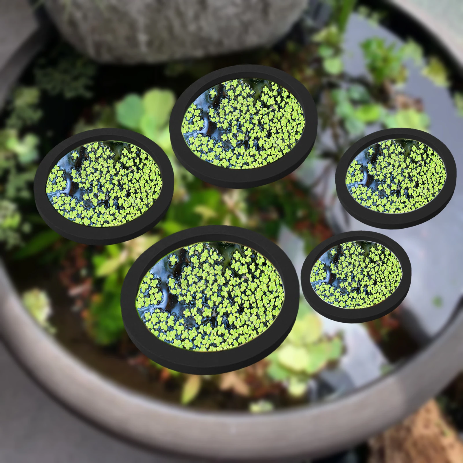5Pcs EVA Fish Feeding Ring Aqu – Aquarium Plant In Pot recenzja i cena
