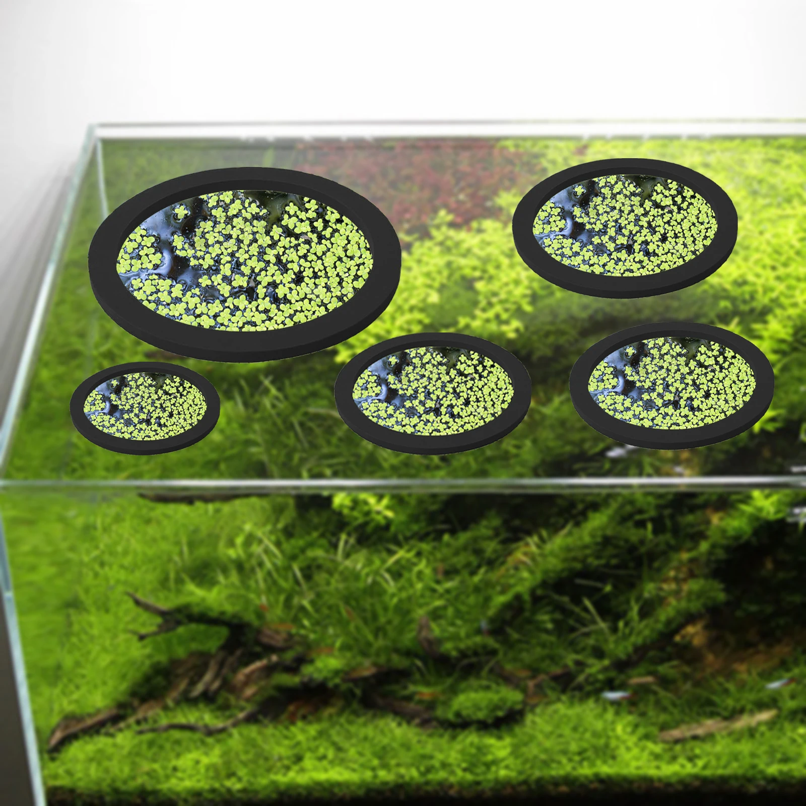 5Pcs EVA Fish Feeding Ring Aqu – Aquarium Plant In Pot recenzja i cena