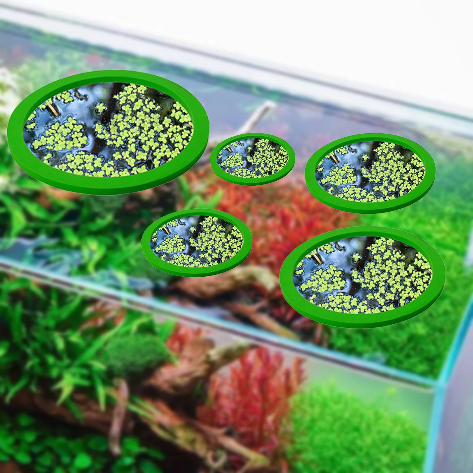 5Pcs EVA Fish Feeding Ring Aqu – Aquarium Plant In Pot recenzja i cena