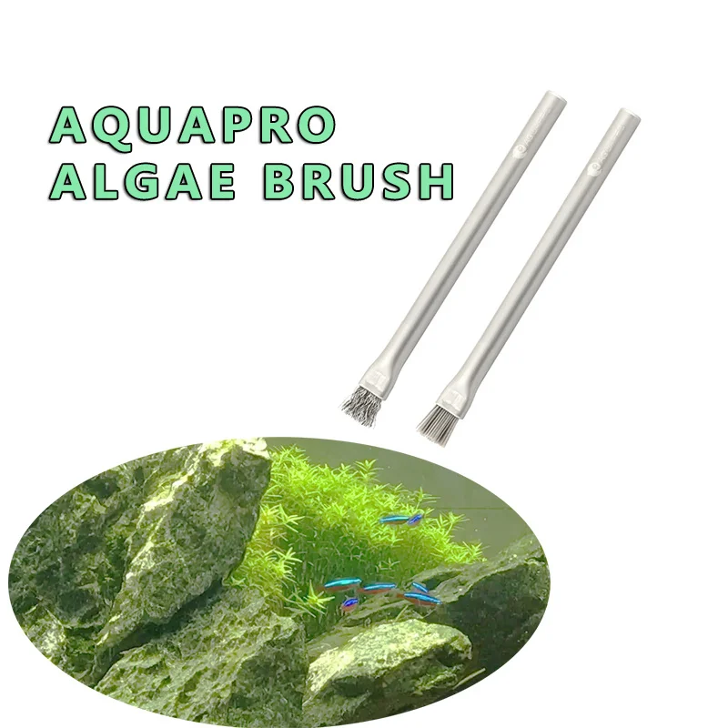 Aquapro Algae Brush Cleaning B – Planted Aquarium Algae recenzja i cena