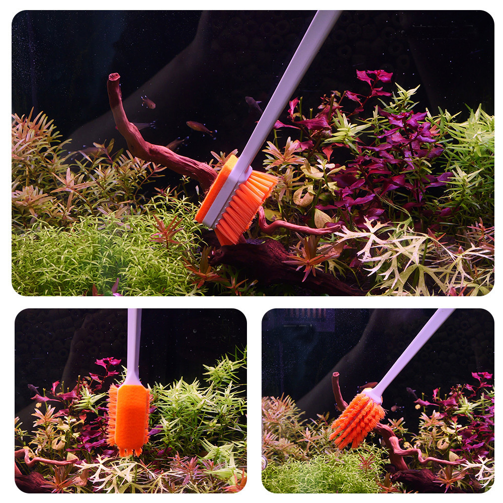 QANVEE Aquarium MK3 Fish Tank  – Planted Aquarium Algae recenzja i cena
