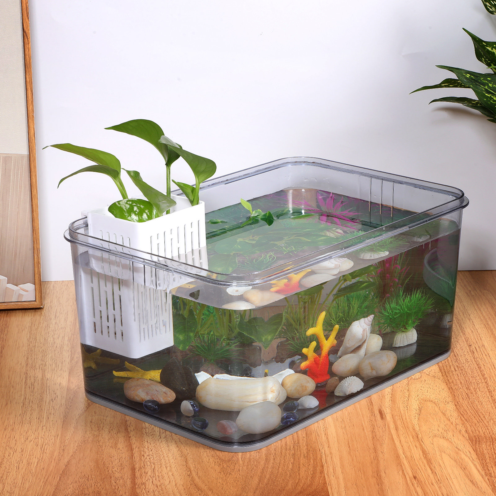 2Pcs Aquatic Plant Basket Hang – Aquarium Planted Setup recenzja i cena