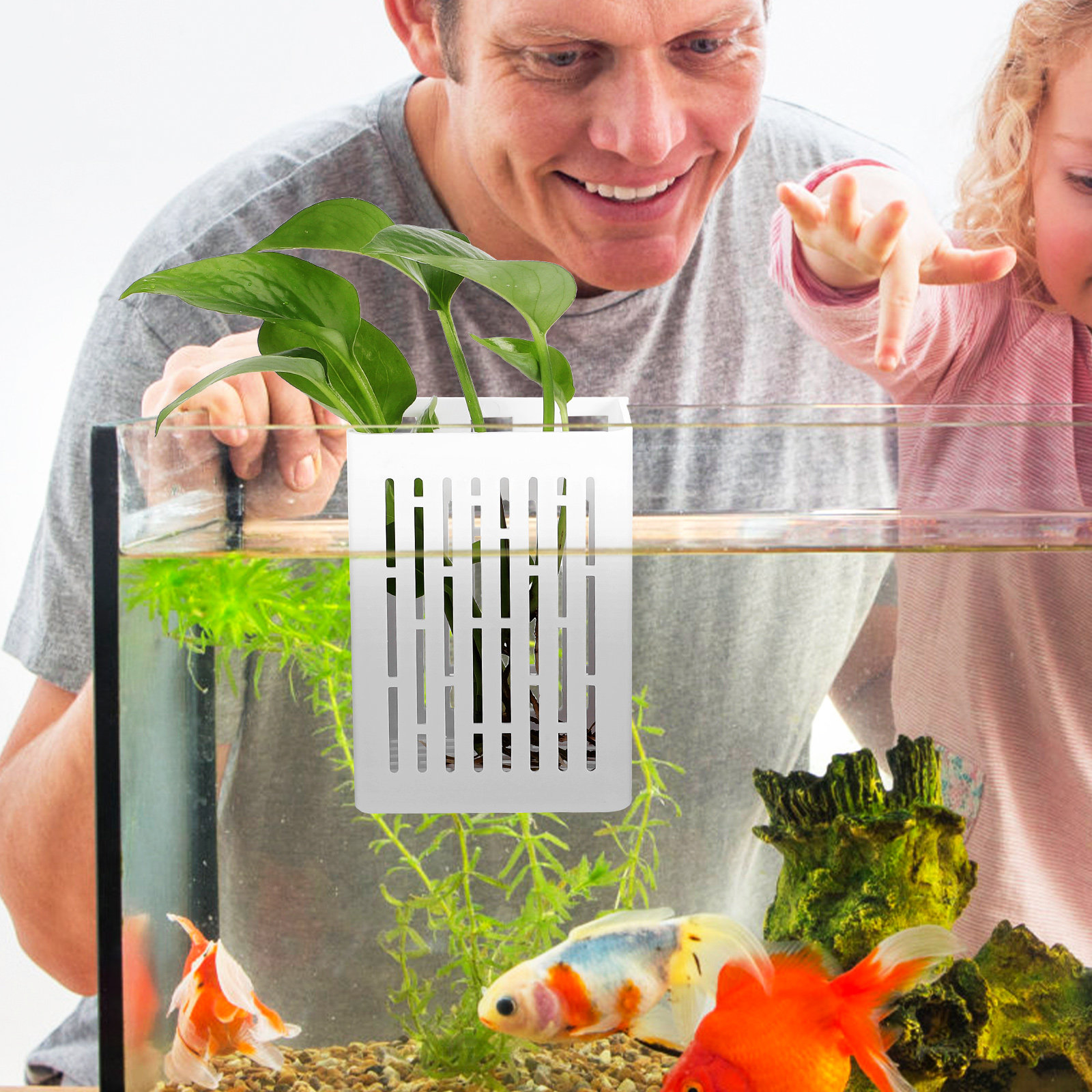 2Pcs Aquatic Plant Basket Hang – Aquarium Planted Setup recenzja i cena